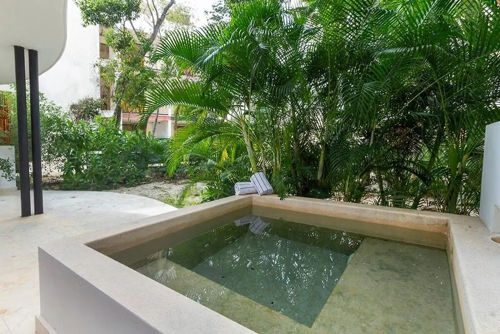 2 Bedroom Apartment + Private Pool And Roof Top Terrace Tulum
