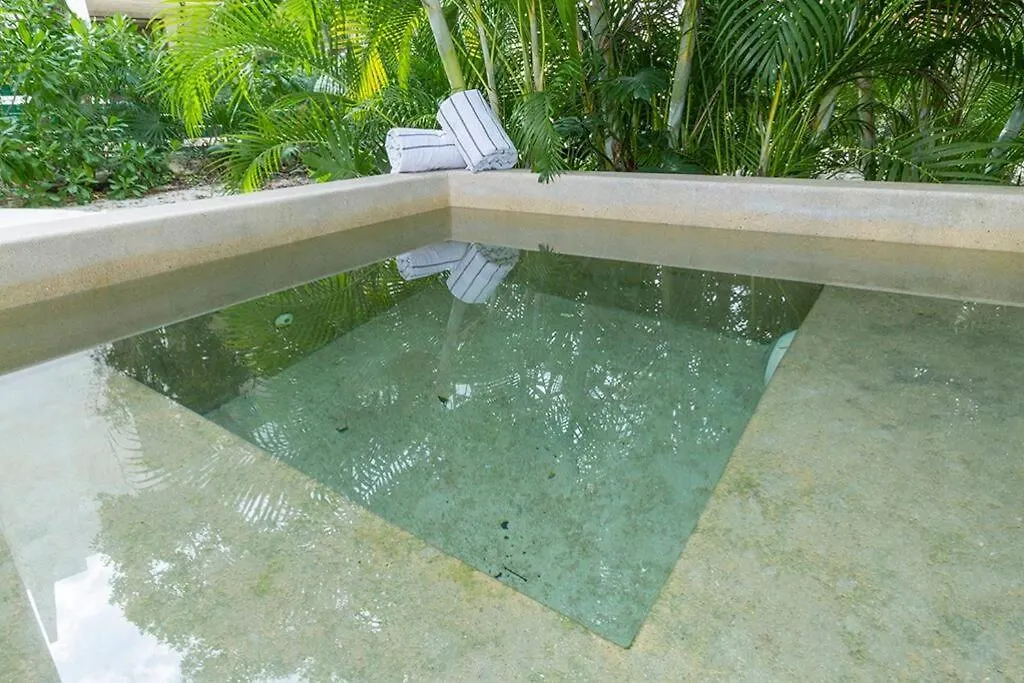 2 Bedroom Apartment + Private Pool And Roof Top Terrace تولوم 0*,