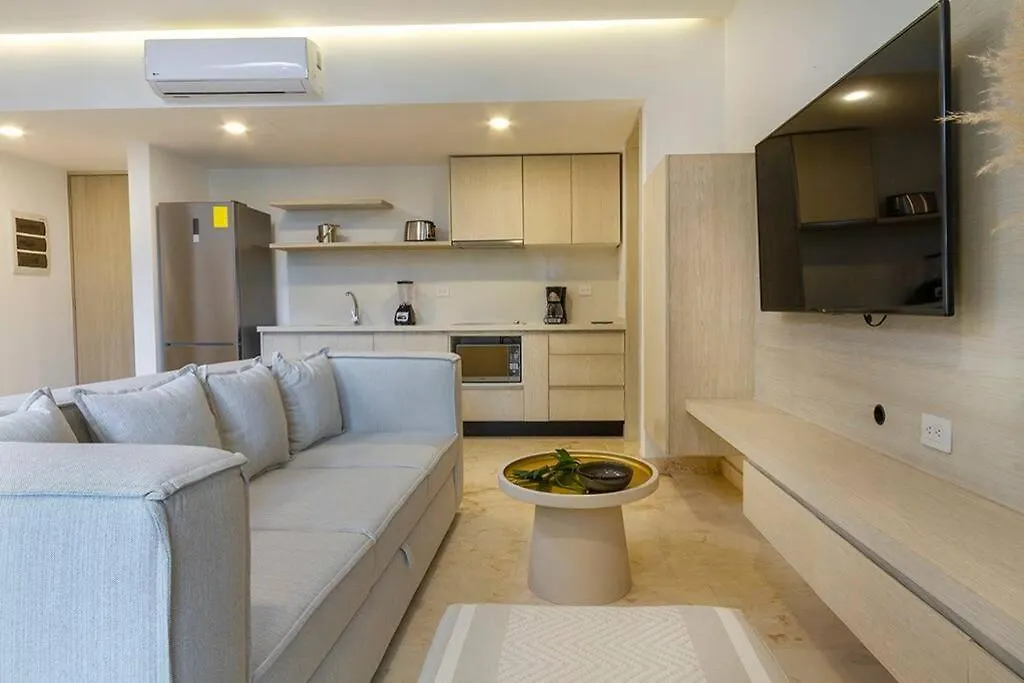 2 Bedroom Apartment + Private Pool And Roof Top Terrace تولوم